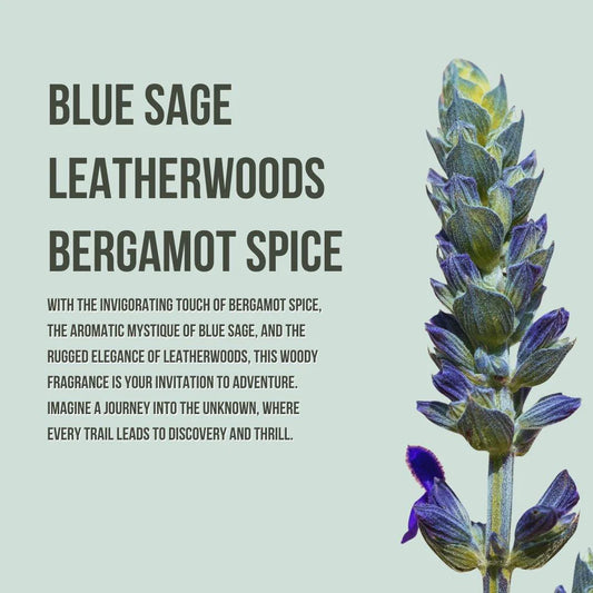 Body Collection Lotion and Mist Sets Beauty Creations