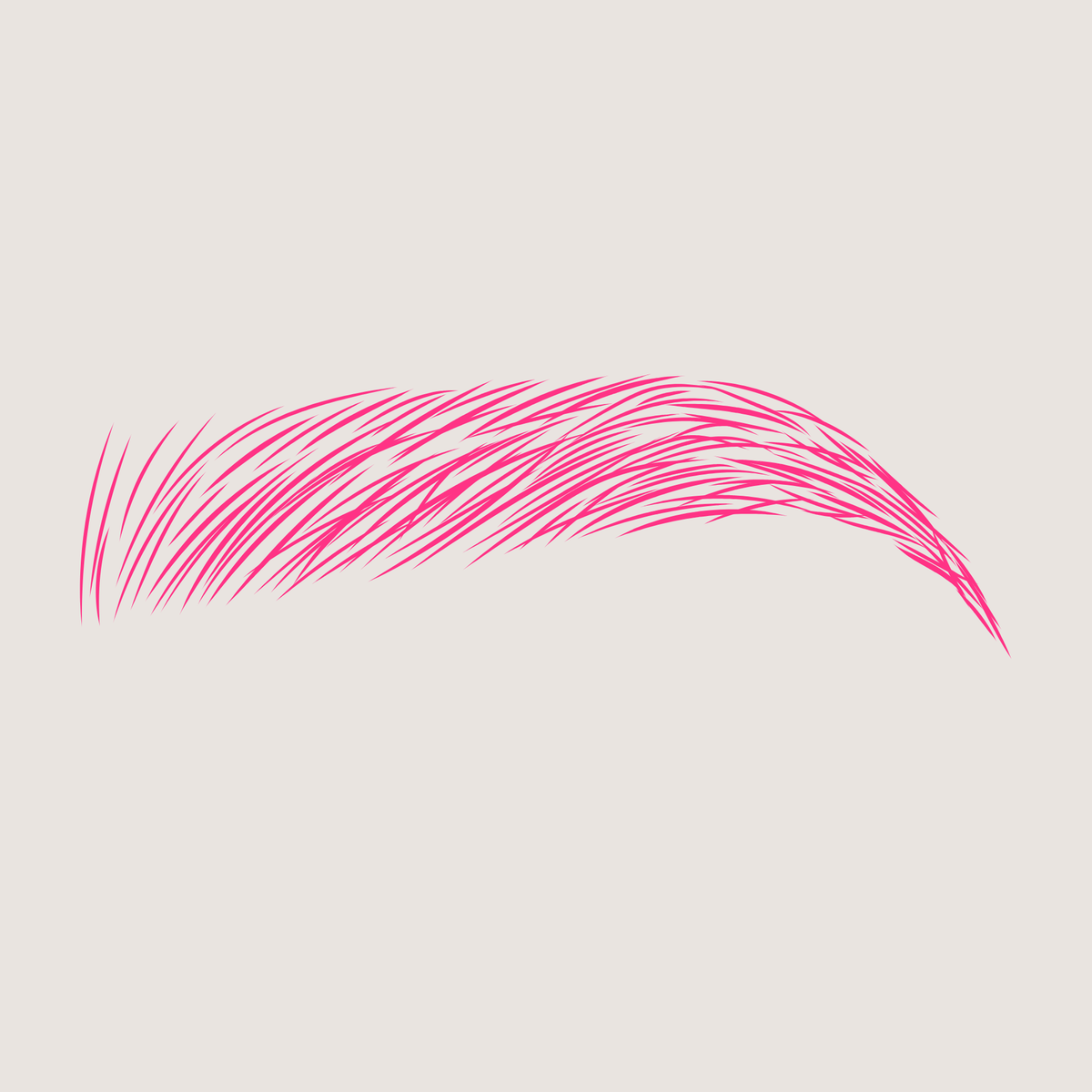 Cejas