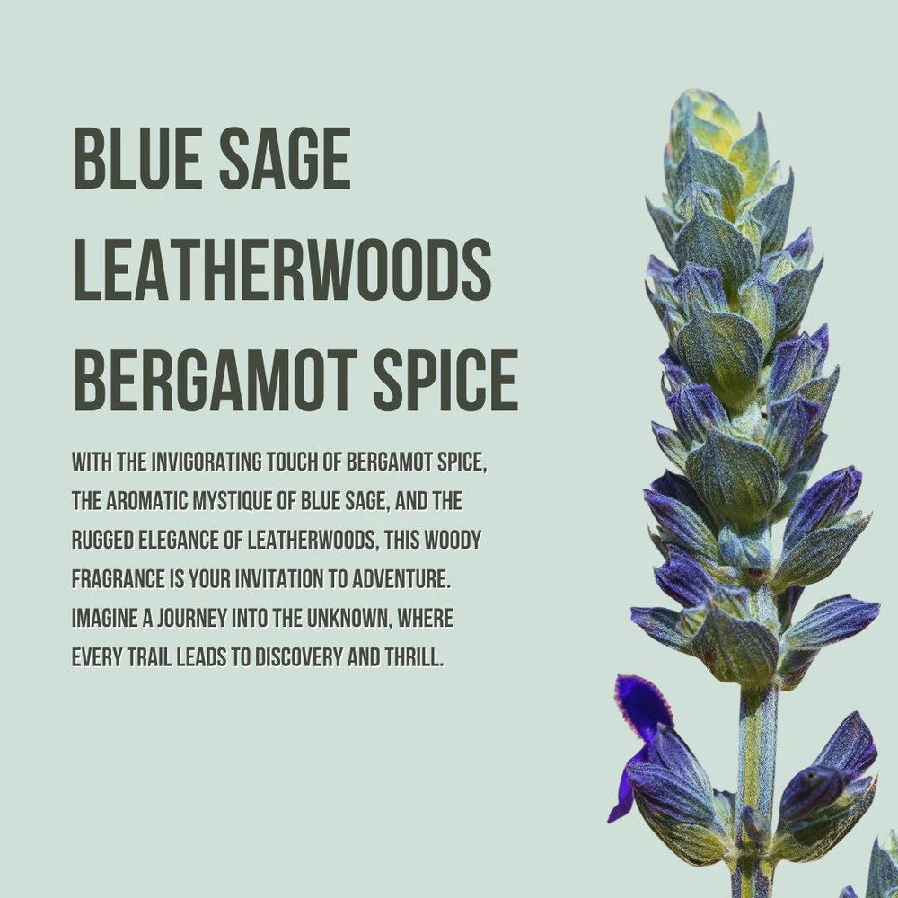 Body Collection Lotion and Mist Sets Beauty Creations